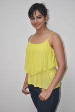 Rakul Preet Singh photo shoot in Mumbai on 19th Sept 2014